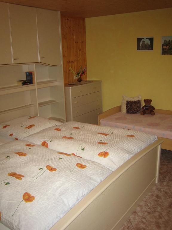 Apartment Schlafwandler Steinigtwolmsdorf Camera foto